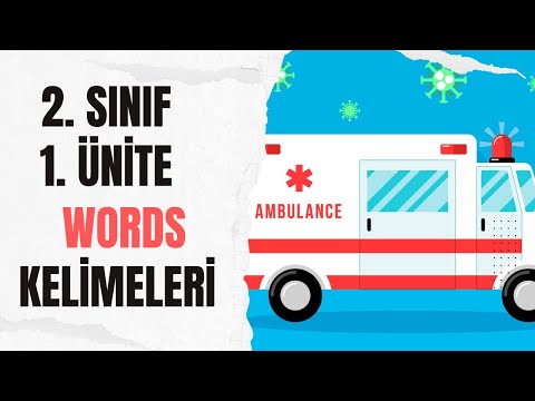 2. SINIF İNGİLİZCE 1. ÜNİTE WORDS KELİMELER - TESTLİ