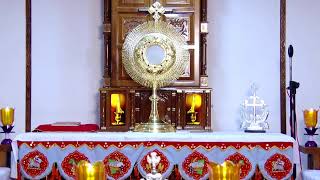 Fr. Dominic Valanmanal |