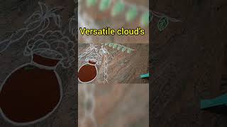 pongal rangoli/ sankaranthimuggulu #shorts