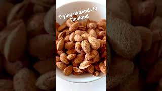 Trying almonds in Thailand #sweetsnacks #vegantravel #veganthaifood #chiangmaithailand