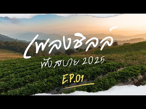 เพลงชิลล์ร้านเหล้า ฟังสบาย 2025 EP.1 ไม่บอกเธอ+ ดาว + ความรู้สึกของวันนี้ + อย่าพูดเลย + ยืนยัน