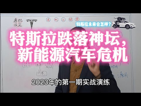 Tesla特斯拉跌落神坛，新能源汽车危机，下一个巨头花落谁家，谁才是这场博弈的赢家【特斯拉跌跌不休】