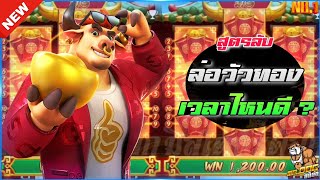🎃SIAM66 Fortune Ox : PG SLOT วัวทอง โดดเเล้วหล่าว สล็อตค่าย PG💯