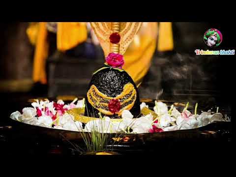 dwadash jyotirling stotra #द्वादशज्योतिर्लिंग #vrindavan_bhakti #viralvideo