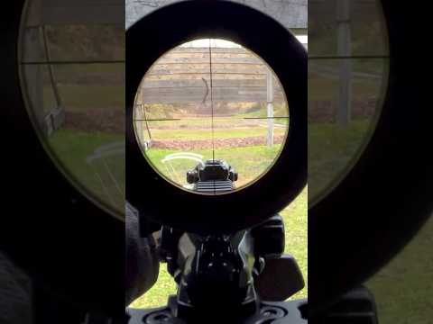 Suppressed AR Eotech Vudu 1-8x - POV