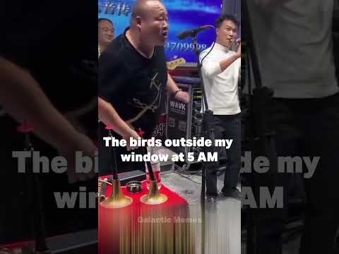 The Birds at my window at 5 am