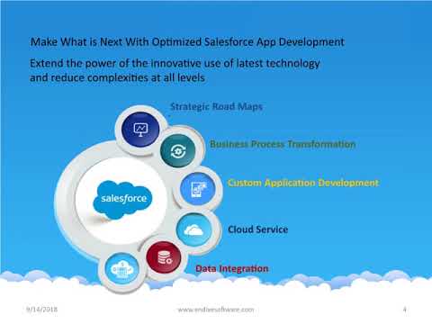 Salesforce Development by Endive Software