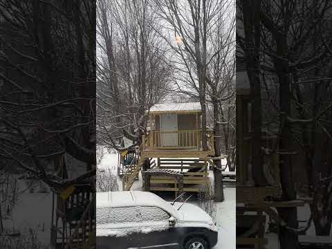 Snow again in Massachusetts. #haverhill  #snowstorm #massachusetts #boston #foryou #snowfall #2024
