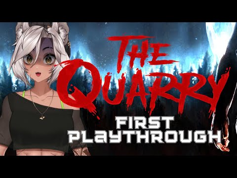 Sansin's First Playthrough of The Quarry!
