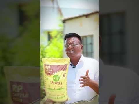 லாபம் அதிகரித்தால் மட்டுமே மாடு வளர்க்க ஆர்வம் வரும் #farming #cattlefeeds #cattlefeed #agriculture