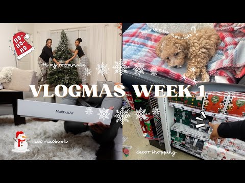 VLOGMAS WEEK 1 ❅ dog mom life, decor shopping, putting up the tree, & more