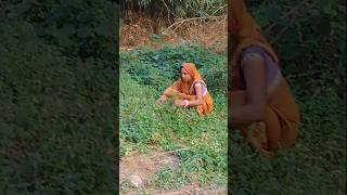 #dehativivahgeet #awadhigeet #dehativivahgeet #funny #vivahgit #vivah #bhojpurilokgeet#trendinglokg