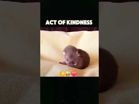This Video made my day😊. #short #viral #trending