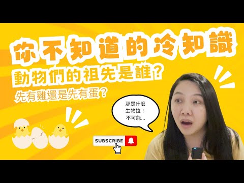 你不知道的冷知識｜動物的祖先｜LuWenLu 路溫路