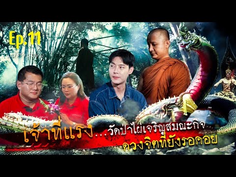 มหัศจรรย์มู EP.11 : ดวงจิตที่ยังรอคอย