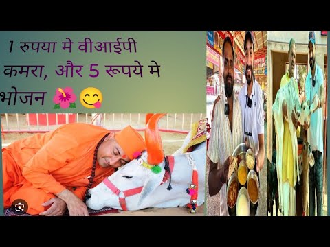 विश्व स्तरीय गौशाला चिकित्सालय ||विश्व मे सबसे सस्ता कमरा और भोजन#weddingsong #weddingroom #ytviral