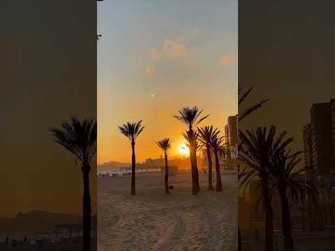 #shortsvideo #valencia #shortsfeed #shortsviral