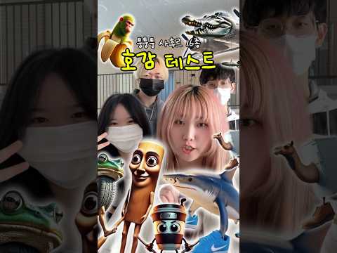 퉁퉁퉁 16종 호감테스트 ㅋㅋ