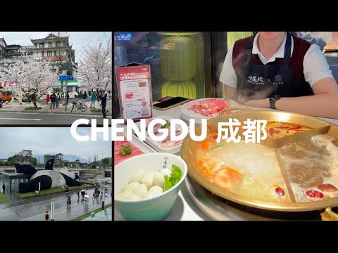 Chengdu China Travel 🇨🇳: Hotpot, Cherry Blossoms, Old Town, Sichuan Cuisine, Taking airport bus