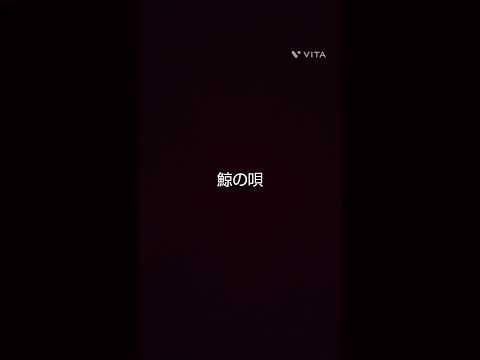 鯨の唄歌ってみた！＃ミセス＃鯨の唄＃歌ってみた