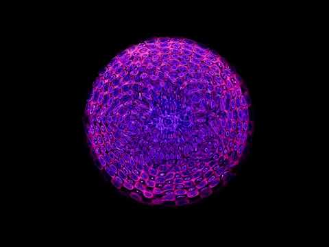 3rd Eye  Chakra - Other Worlds - Binaural Beat Gamma 55 - Heightened States - Embodied Ritual