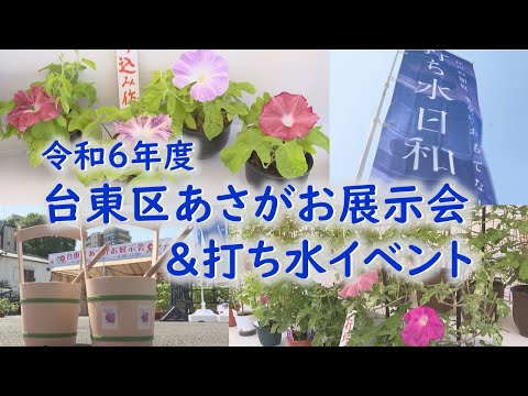 令和６年度 台東区あさがお展示会＆打ち水イベント