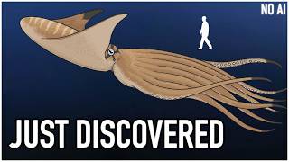 The Dinosaur-Era KRAKEN That Hunted Mosasaurs...