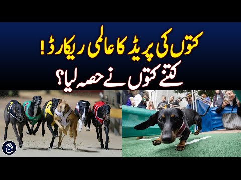 World Record for Dog Parade! How Many Participated? - Aaj News