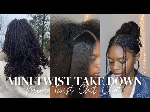 Mini Twist Take Down| Blowdried Mini Twist Chat| Uhlexsissss