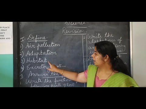 ICSE/CLASS-4/REVISION