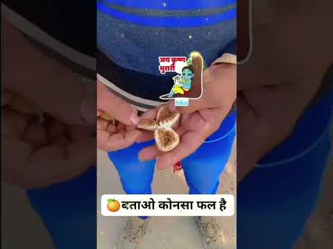 btao konsa fhal h Jay serri kirsna #kirsna_radha_bhajan_कृष्णाँ_राधा_भजन #radhekrishna 🦚🙏❣️