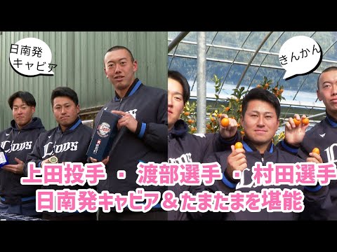 【日南】ライオンズ若手選手 日南の特産品を堪能