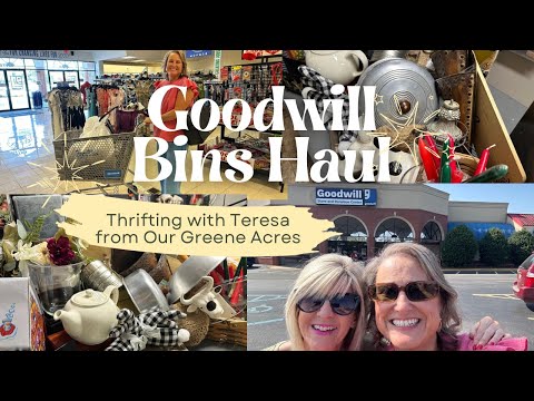 Goodwill Bins Haul/I went thrifting with Teresa from @OurGreeneAcres!