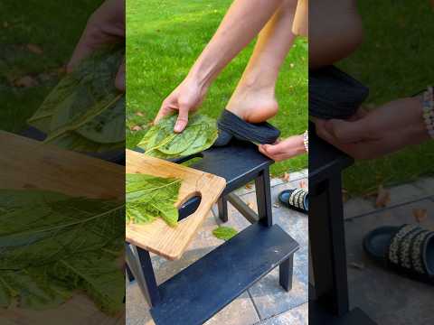 Put Walnut Leaves on Your Feet Overnight, The Results Will Surprise You #healthytips #recipe #shorts