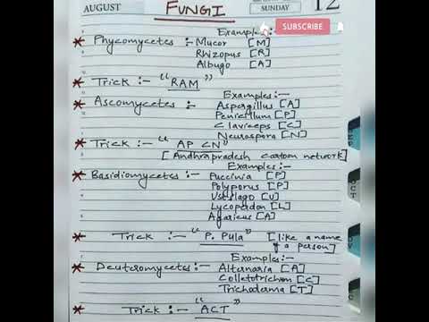 Trick to learn fungi #shorts #neet #tricks #biology #facts #knowledge #neettricks #a2motivation