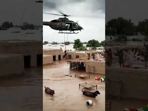 Very Tough Hand  #youtubeshorts #usa🇺🇸 #uk #poorpeople #storm