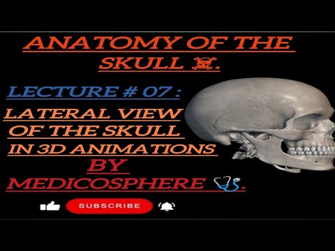 Lecture # 07: Lateral view of the skull ☠️ #3d #medicosphere #skull #anatomy #viral #video #medical