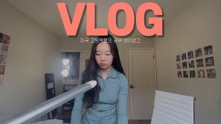 VLOG | 미국 고등학생의 공부 브이로그 High school study vlog (AP TEST)