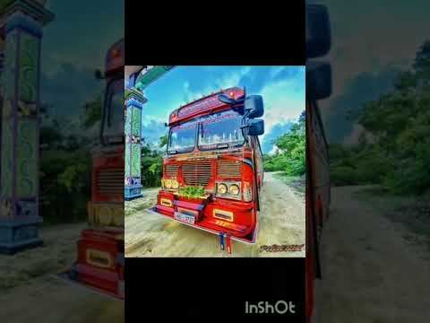 කලාවේ ගිනි කිරිල්ලී ෆීනික්ස් PRO Edition @LNRBUSKINGDOM-dl9ql #bus