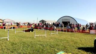 2015 GNE Demo - Stand By Me K9 Performance Team!