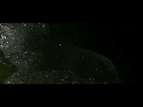 SIN teaser