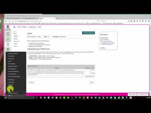 CIS 210 Organizing Flash Drive