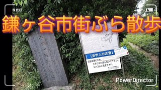 (散歩)鎌ヶ谷市街ぶら散歩@ドリンジャー低速戦隊