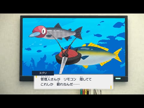 お魚＋マッシブーン【ポケモンSV】【ゆっくり実況】