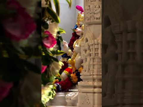 #neemkarolibaba #kainchidham #shortsfeed #hanumangarh #aayodhya #ytshorts #public #babaneemkaroli