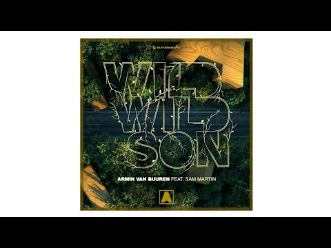 Armin van buuren - wild wild son
at untold Festivel 2018
