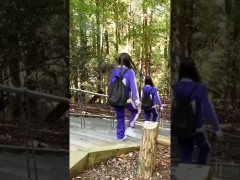 【かきさく】階段の降り方も可愛い遠藤さくらと賀喜遥香｡ #乃木坂46