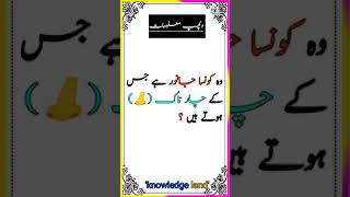 Urdu general knowledge question answer and riddles