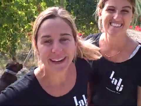 DBGitalia with Lara & Luisa of Az. Agr. LaLù as they harvest Monforte's Le Coste vyd, Oct'19!