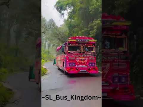 අම්මෝ එයාහ්💕🩷 | #automobile #srilanka #bus #dj #love #buses #travel #chutidoni # #driver #dhamrajini